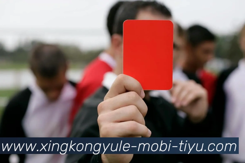 赛事专题整合